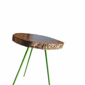 Fairy in the woods collectie