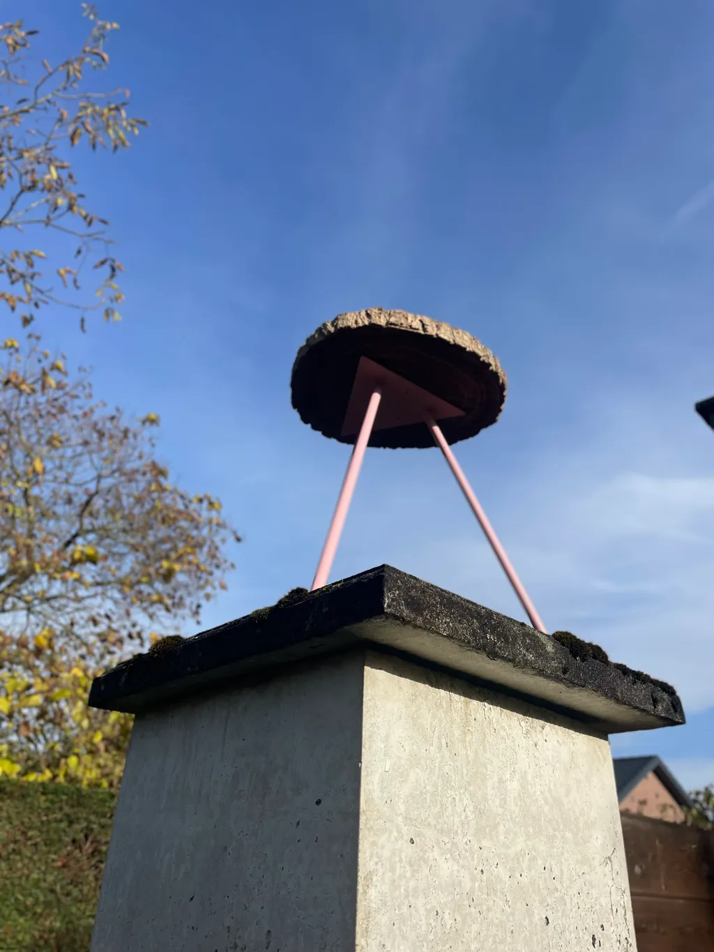 fairy in the woods collectie 10