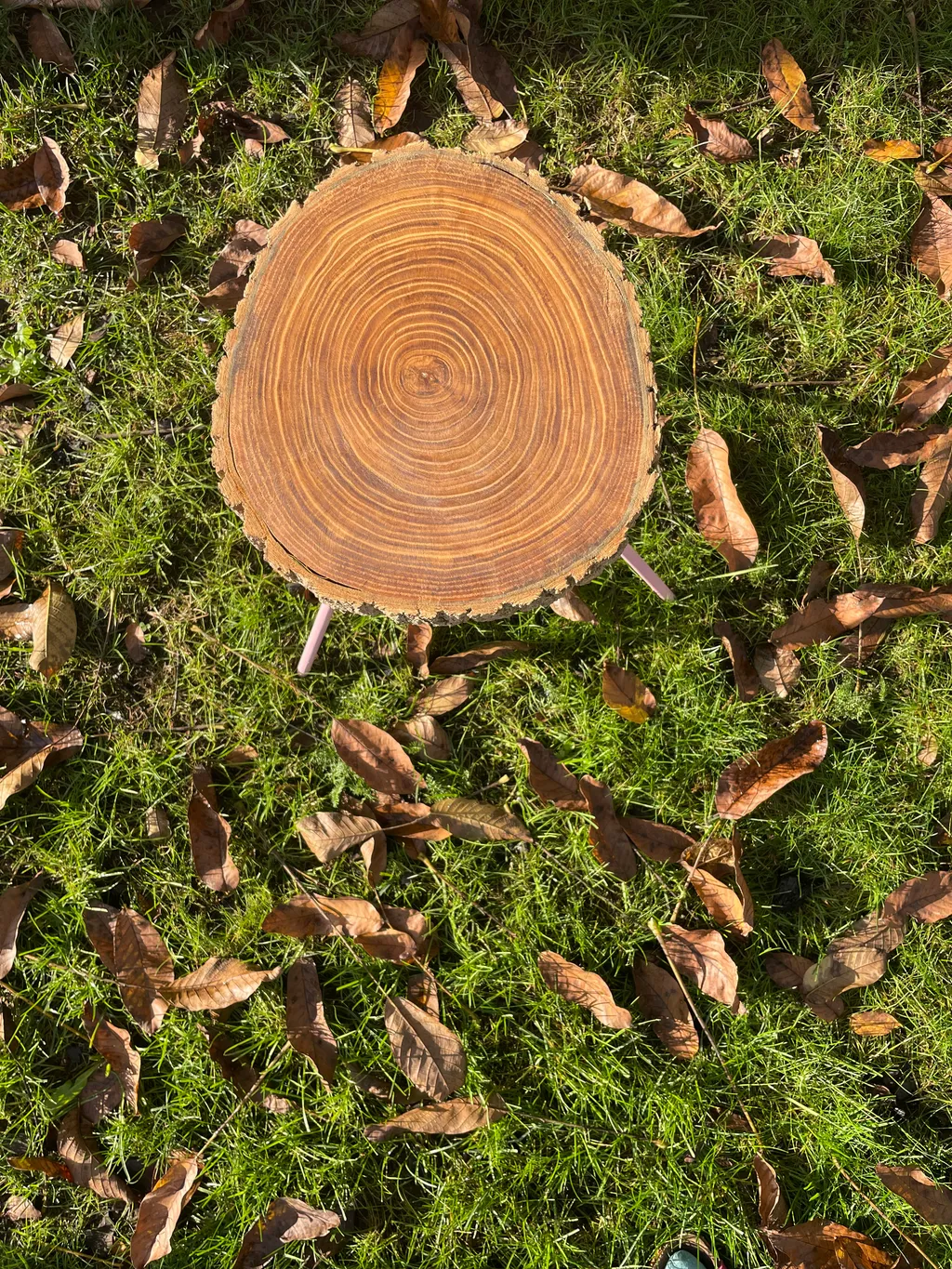 fairy in the woods collectie 11