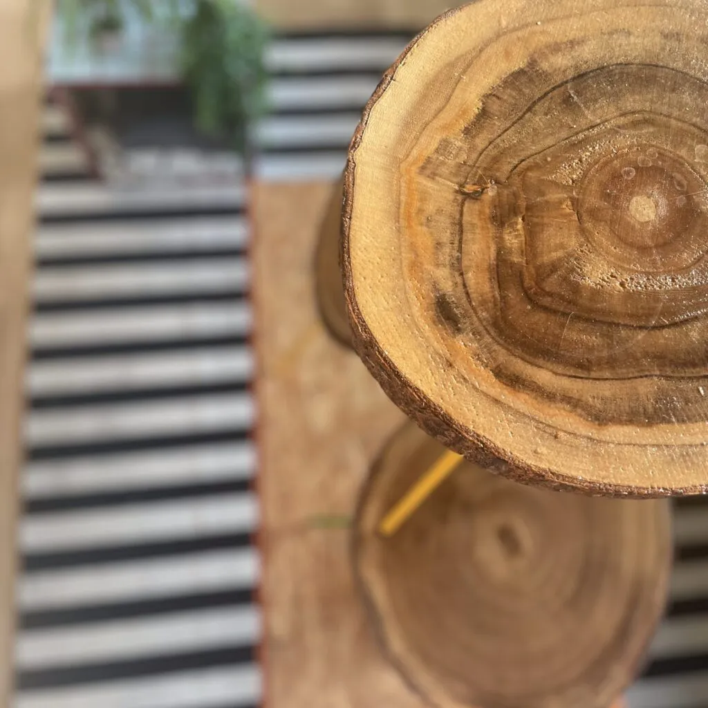 fairy in the woods collectie 2