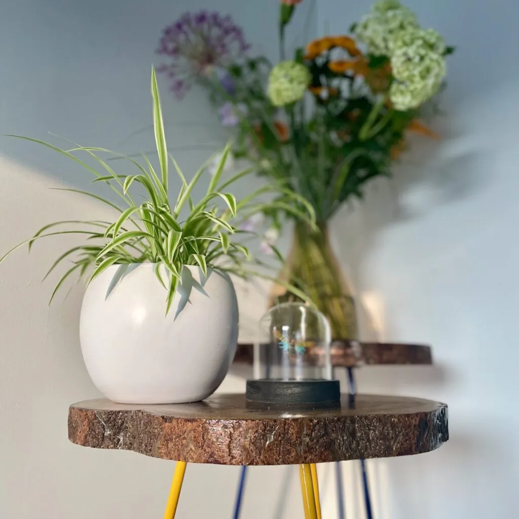 fairy in the woods collectie 4