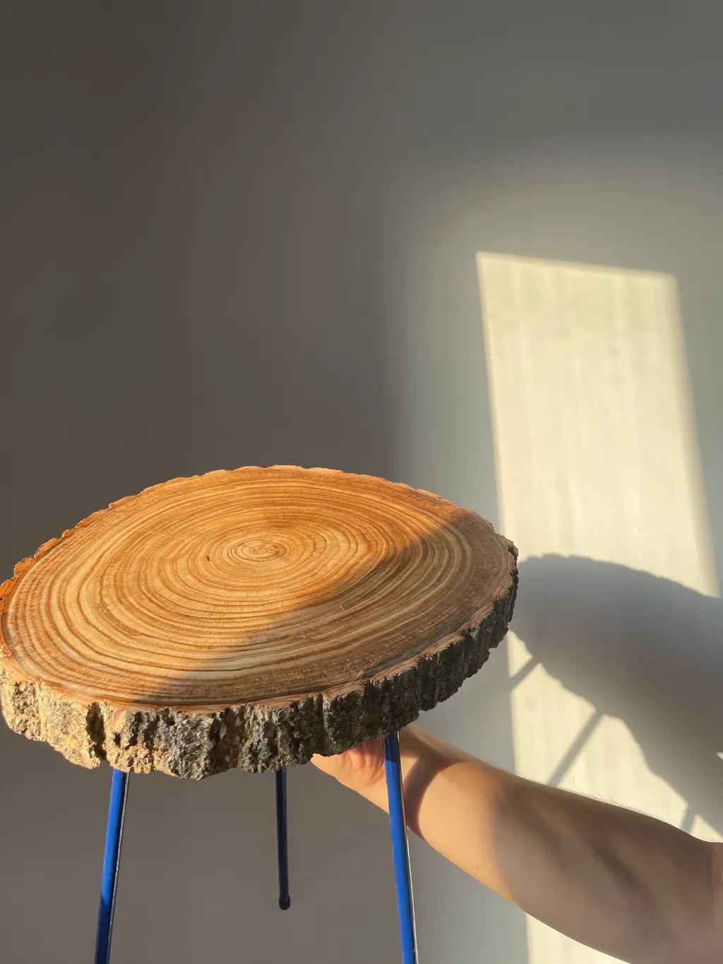 fairy in the woods collectie 5