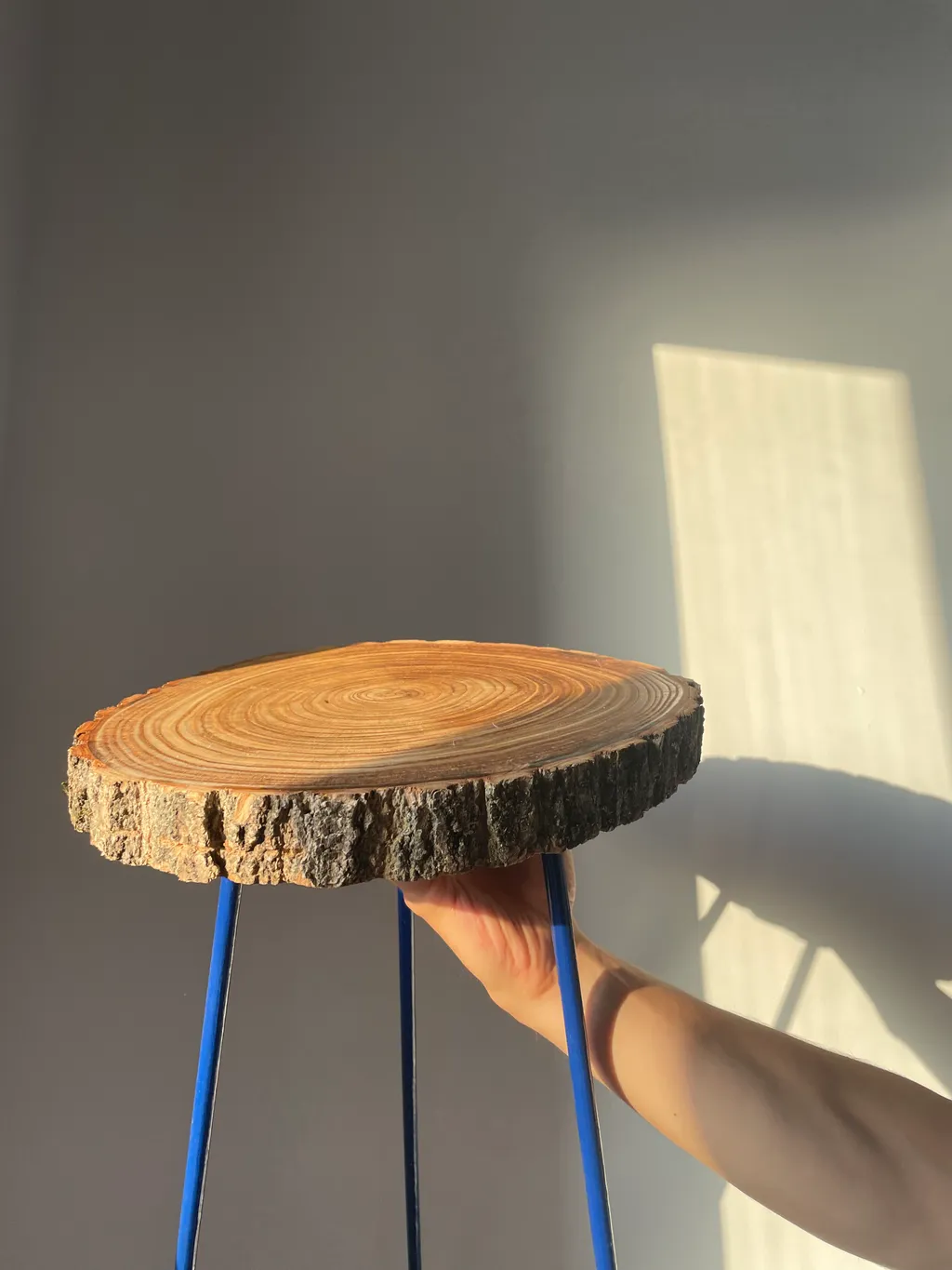 fairy in the woods collectie 6