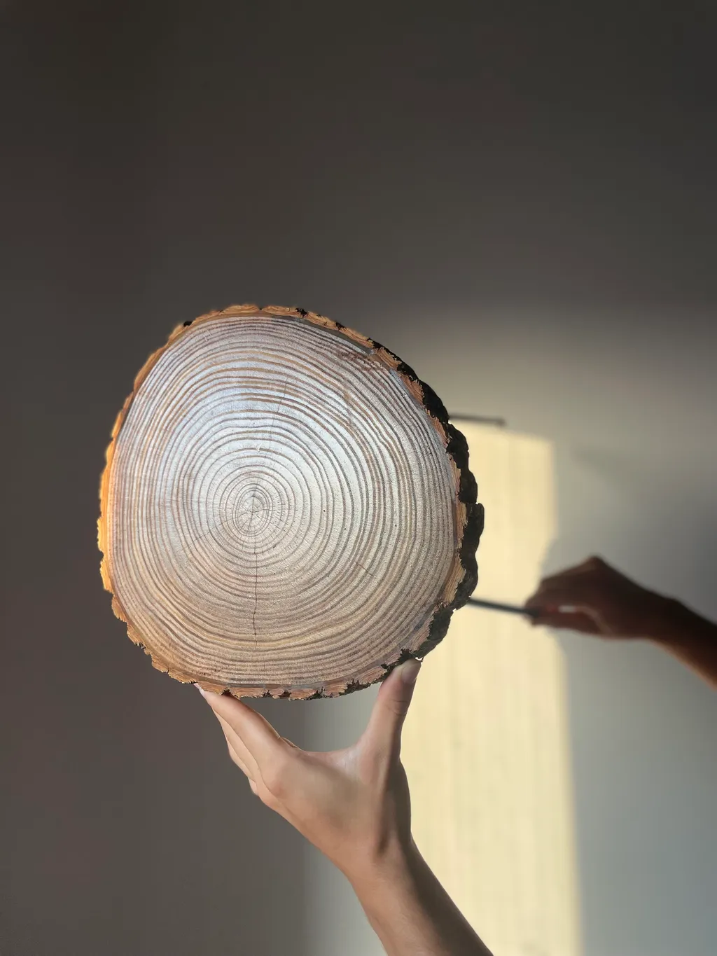 fairy in the woods collectie 8